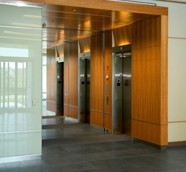 commercial Elevator